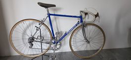 Pinarello Treviso