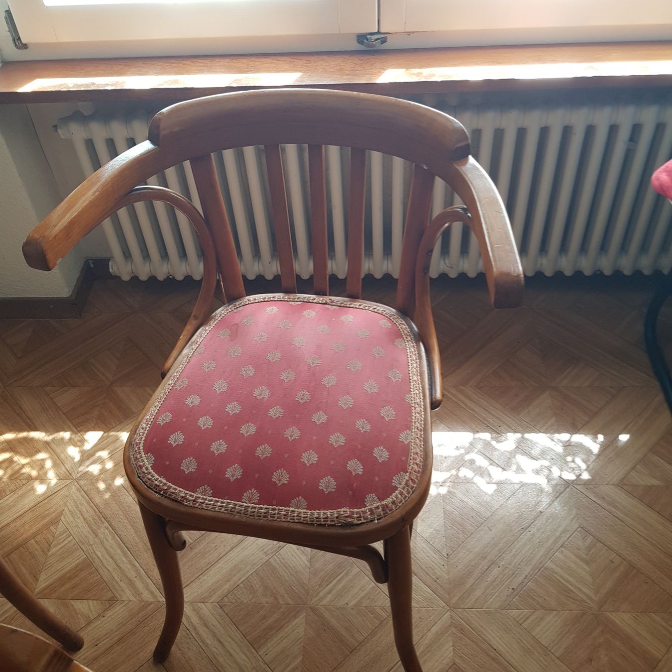 Sedie: Vier Stühle mit Armlehne, Wiener Art – Usato da Böbikon venduto da morgenstern77