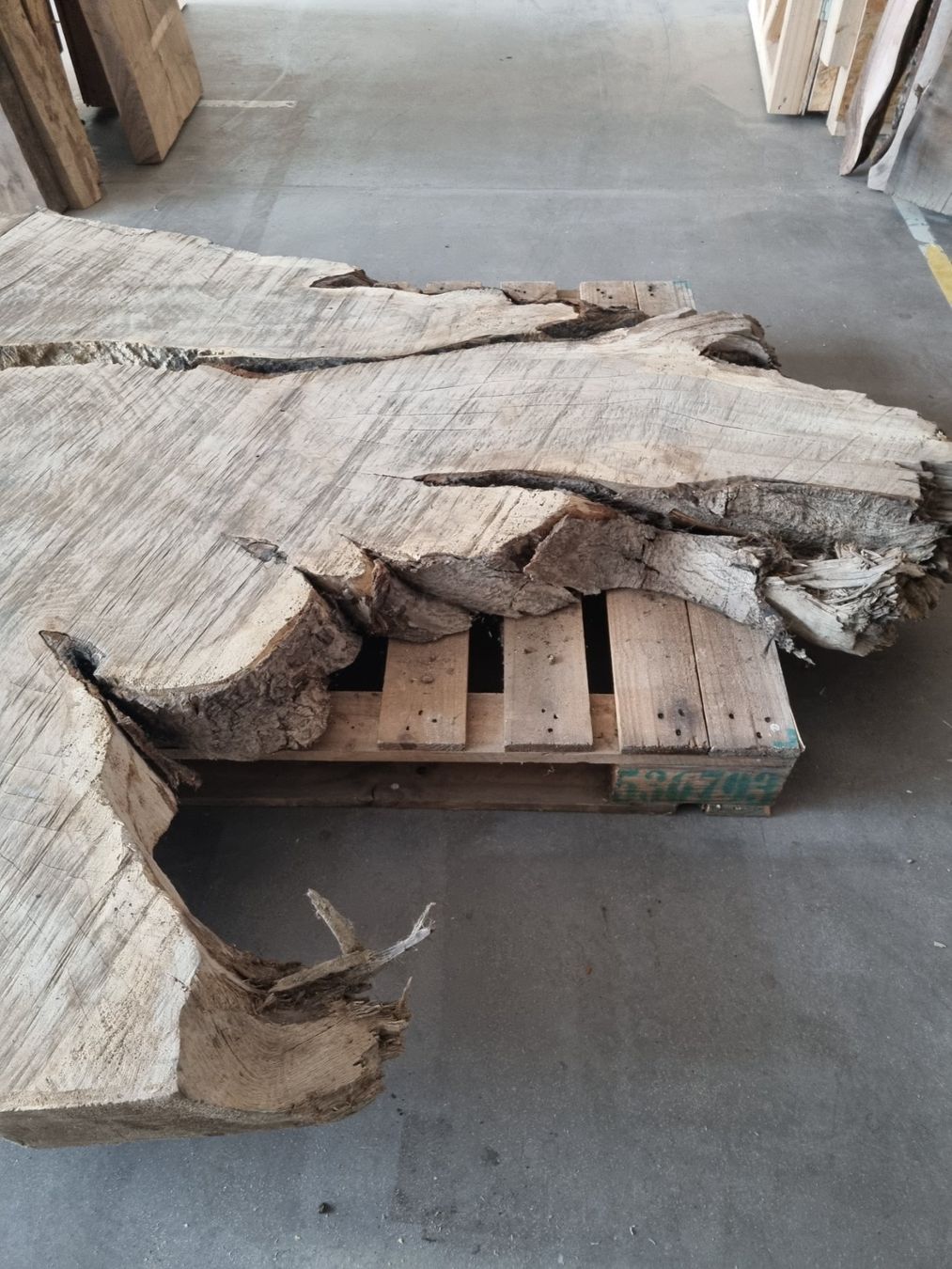 Articoli in legno: Baumscheibe Eiche Tischplatte Eichenplatte XXL  210 cm – Usato da Rheineck venduto da Dein_Wunschholz 3