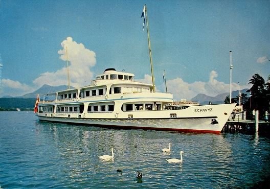 Cartoline postali: LUZERN Schiff M.S. Schwyz – Nuovo (secondo la descrizione) da Jona venduto da philajona