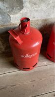 2 Multigas Gasflaschen rot 22.5kg gebraucht