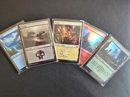 mtg 50 magic Land/Länder FOIL