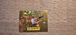 Panini Fifa WM 2026 Panini Wappen (00)