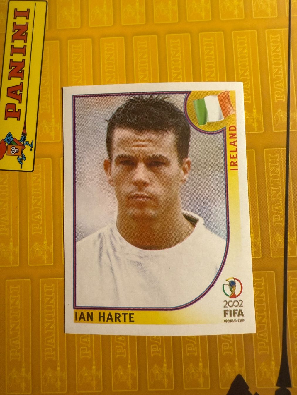 Panini Carte collezionabili: Panini WM 2002 Ian Harte Nummer 353 – Usato da Arbon venduto da tlu_g68s