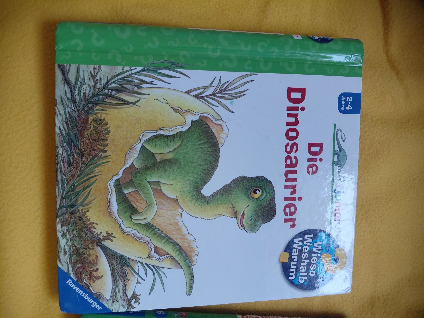 Libri: Bücher Wieso Weshalb Warum – Usato da Ennetbühl venduto da Marlon79 1