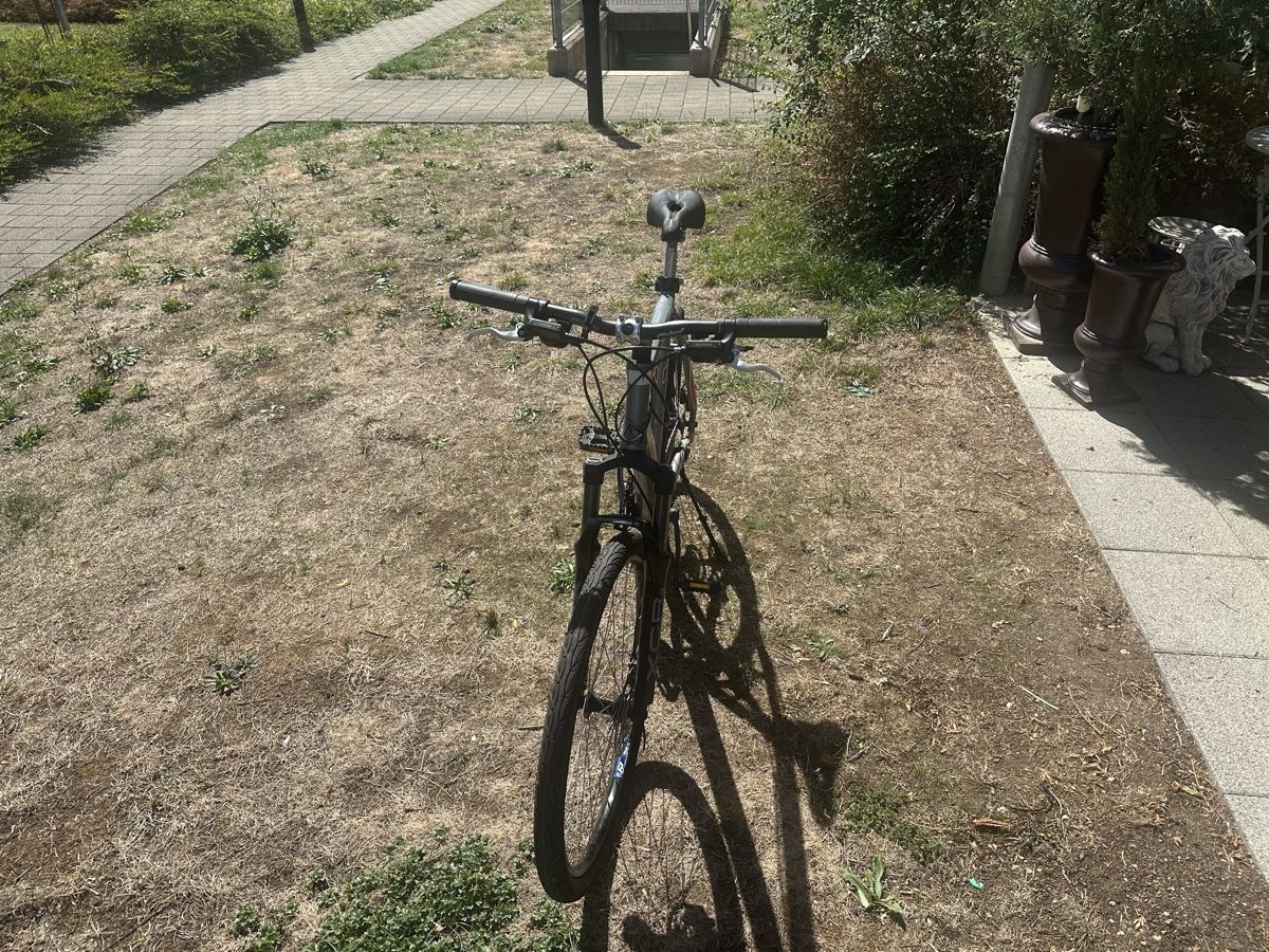 Scott Biciclette: Fahrrad Scott MTB 26 XL – Usato da Liestal venduto da dom_lr62 3