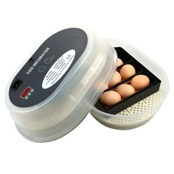 JJsdwin Eier-Inkubator – Vollautomatisch Mit Doppel-Stromversorgung (AC/DC), Für Bis Zu 64 Hühnereier