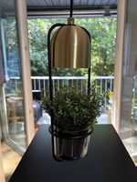 Lampe suspension