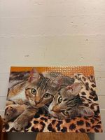 Ravensburger Puzzle 1000 Teile  Zwei Katzen