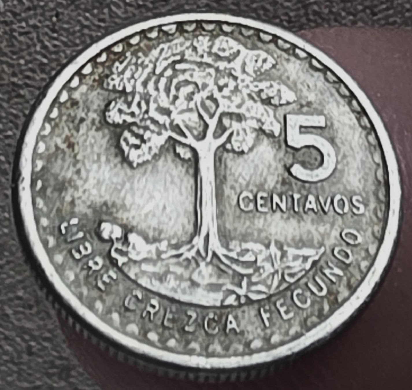 Tutti le monete: GUATEMALA 5 CENTAVOS 1974 – Usato da Winterthur venduto da Creso70 1