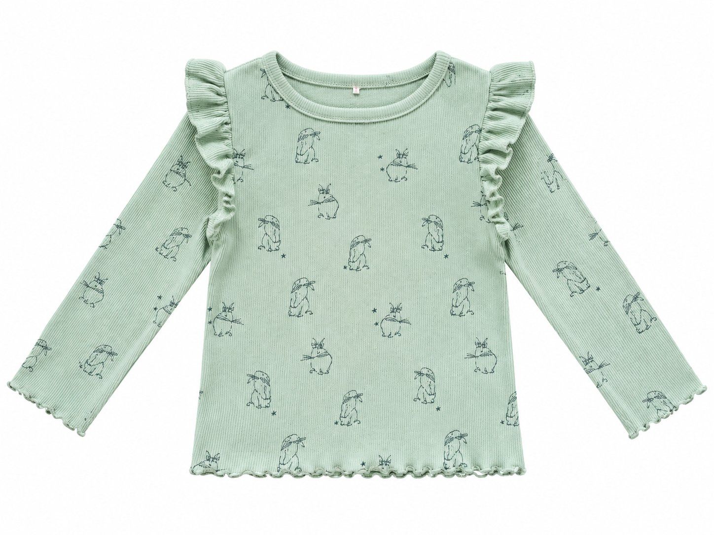 Next Pulls et sweat-shirts: Pullover Langarm-Shirt Gr. 74 – D'occasion à Zürich par Kris8050