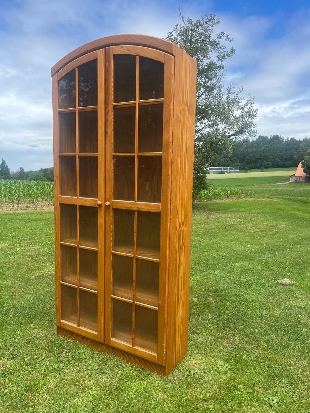 Vetrine: Vitrine mit 2 Türen – Usato da Allmendingen b. BE venduto da juair 4