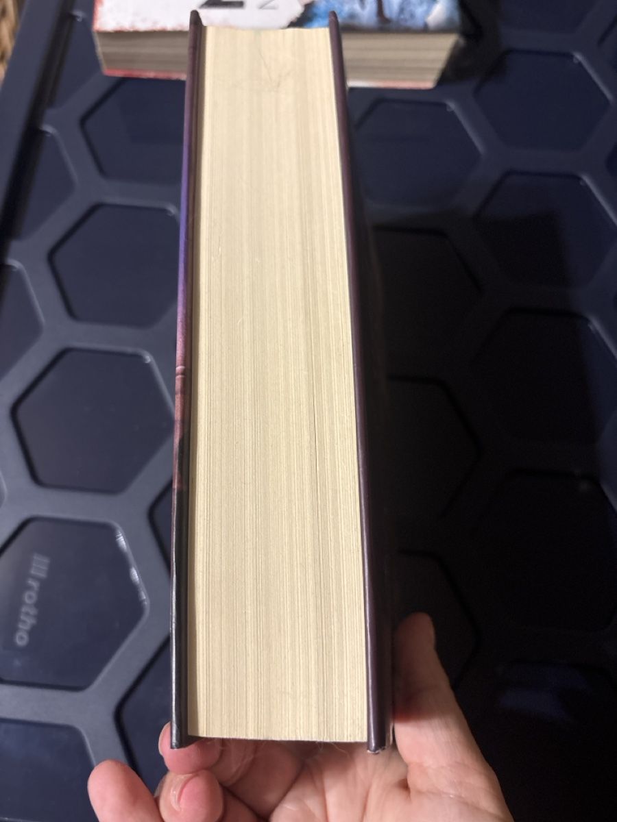 Libri: Die Begnadung von John Grisham – Usato da Grafenried venduto da hollywoodprincess 3