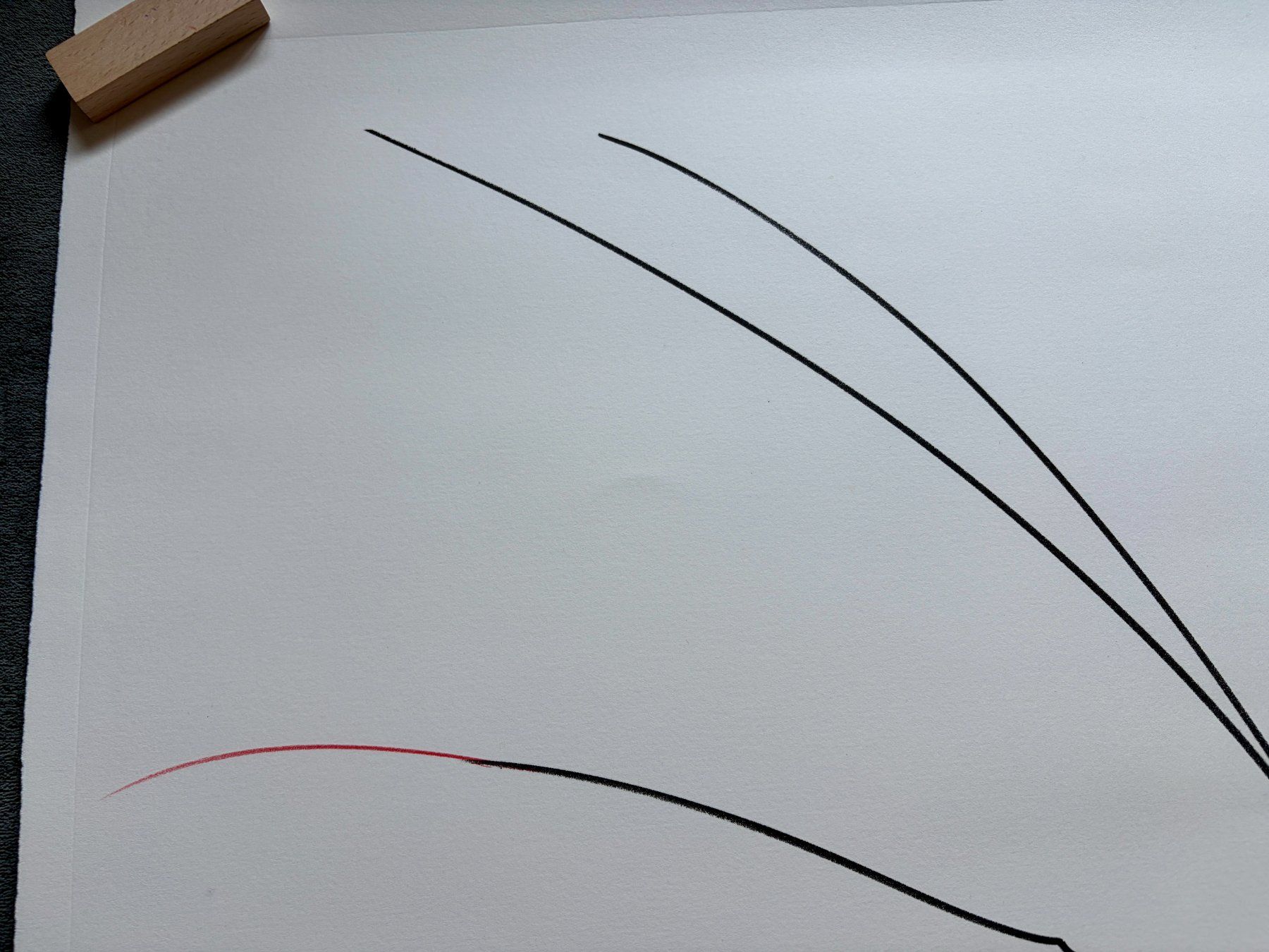 Grafiken & Lithographien: Harald Naegeli, grosse Lithographie – Gebraucht aus Regensdorf von JoergR 4