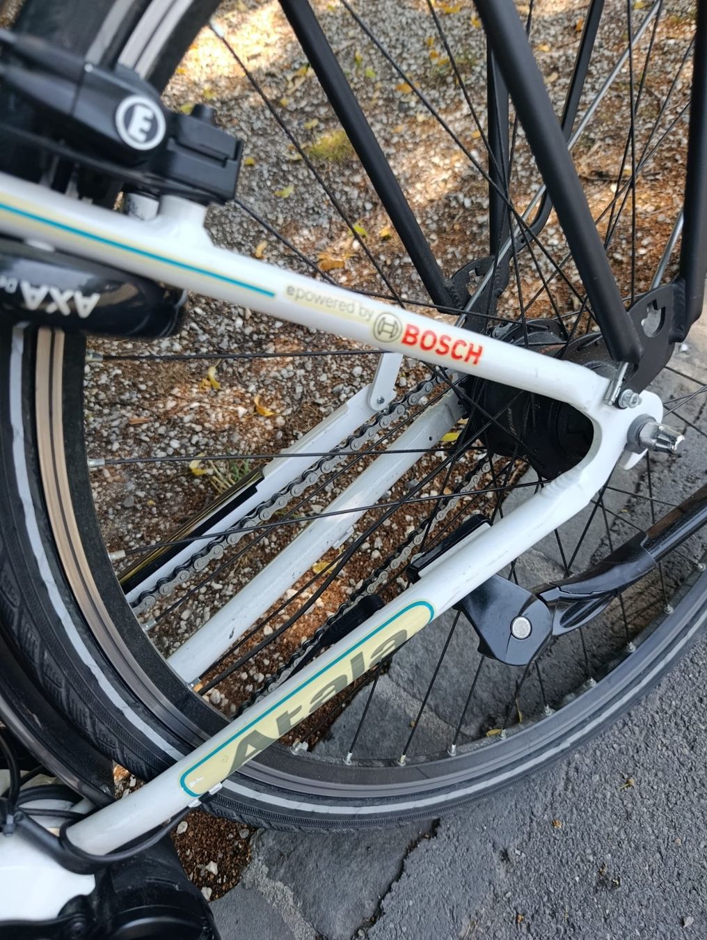 Bosch Vélos: elo électrique Italian moteur Bosch – D'occasion à Monthey par Sws5 6