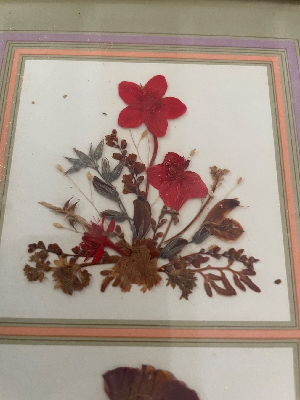 Dipinti: Ancien Tableau Fleurs Séchées – Usato da Vallamand venduto da Bricbracbroc82 2