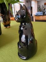 Katze schwarz