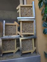 Insektenhotel/Bienenhotel mit Mauerbienen Wildbienenlarven