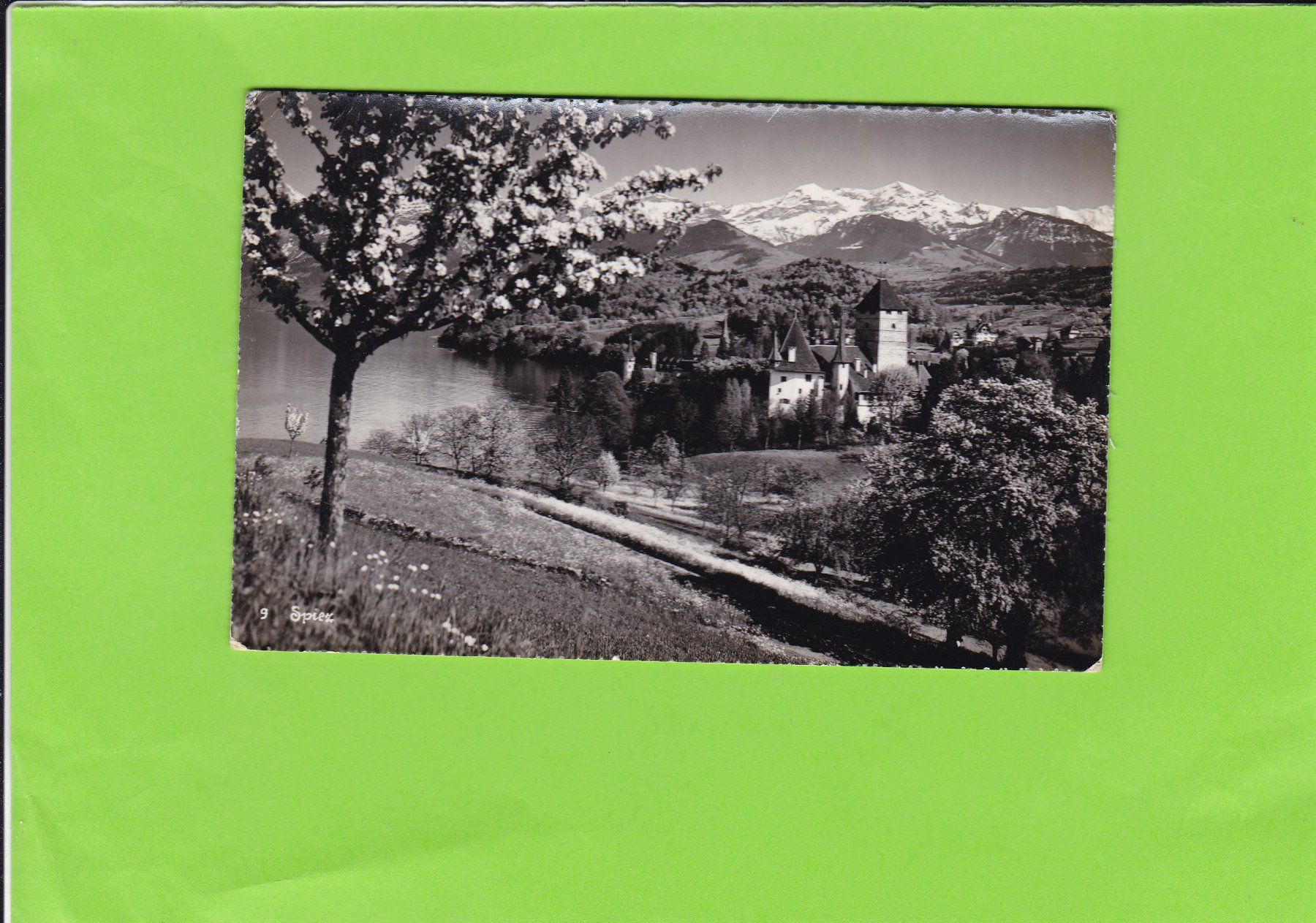 Cartoline postali: Spiez – Usato da St. Peterzell venduto da neckertal