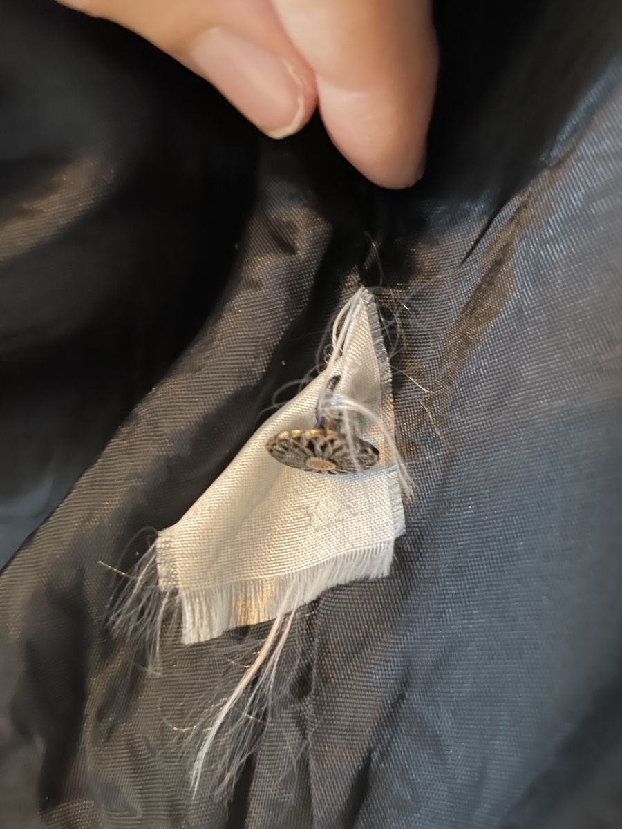 Bolero: Einzigartiger Vintage Bolero – Usato da St. Gallen venduto da ann_llt9 6