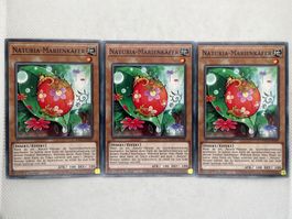 Yu-Gi-Oh! Naturia-Marienkäfer HAC1-DE109 Deutsch Common 1. A