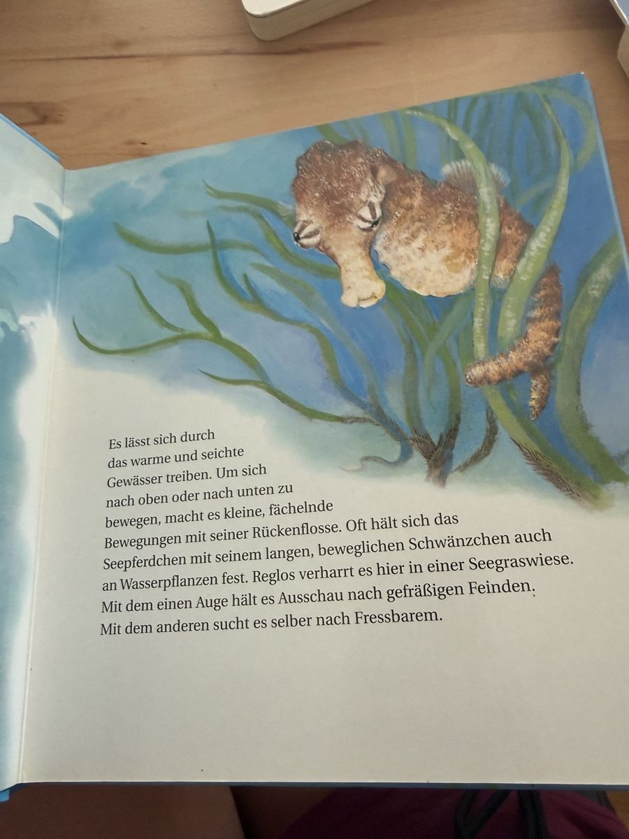Libri: 4 Kinder büchern – Usato da Stäfa venduto da nale068 2