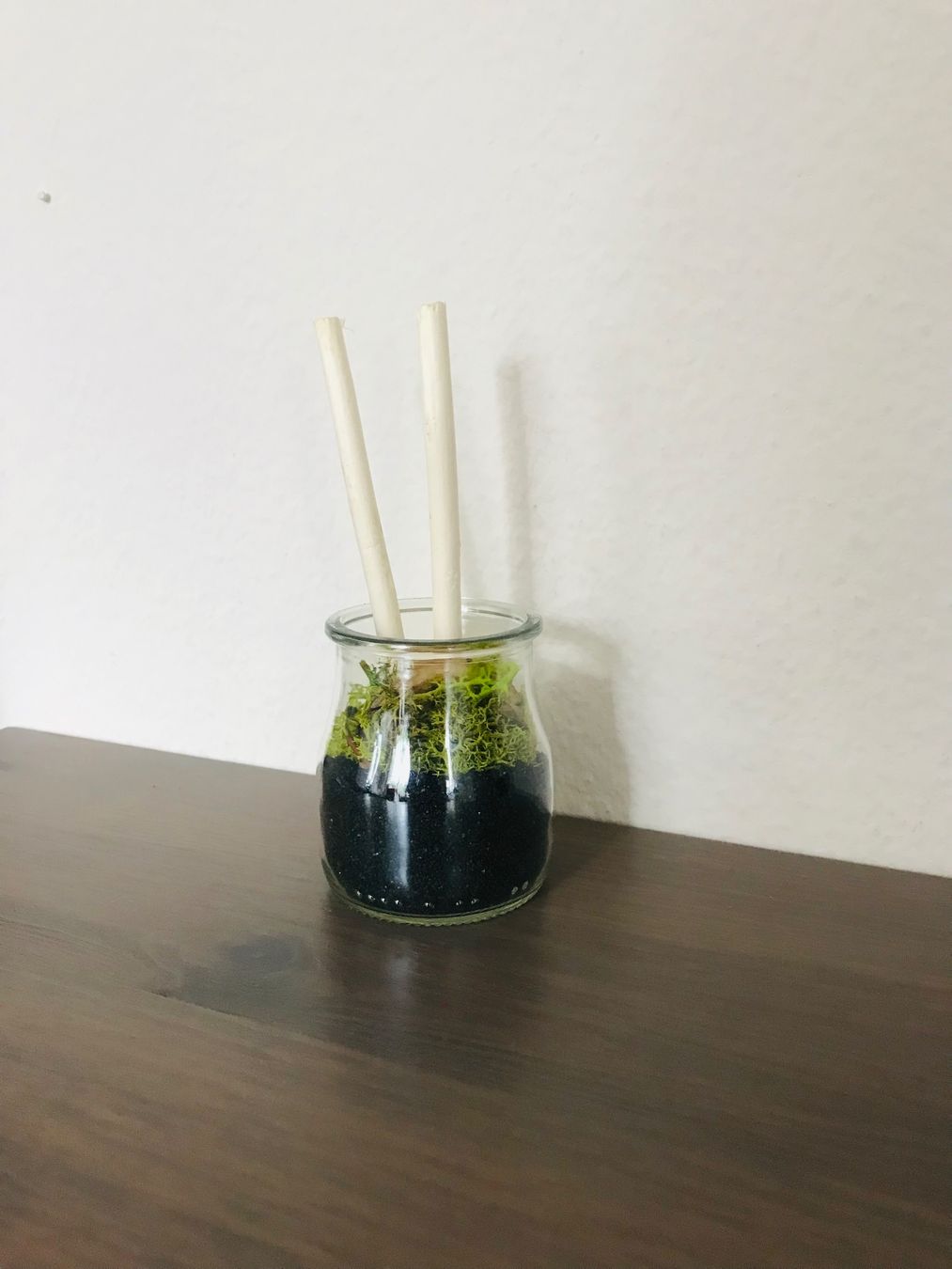 Alle Dekorationen: dekoratives Sturzglas - Motiv: Wald – Neu und originalverpackt aus Lausanne von opi_92cn 7