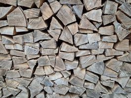 Brennholz Buche 50cm (1Ster)