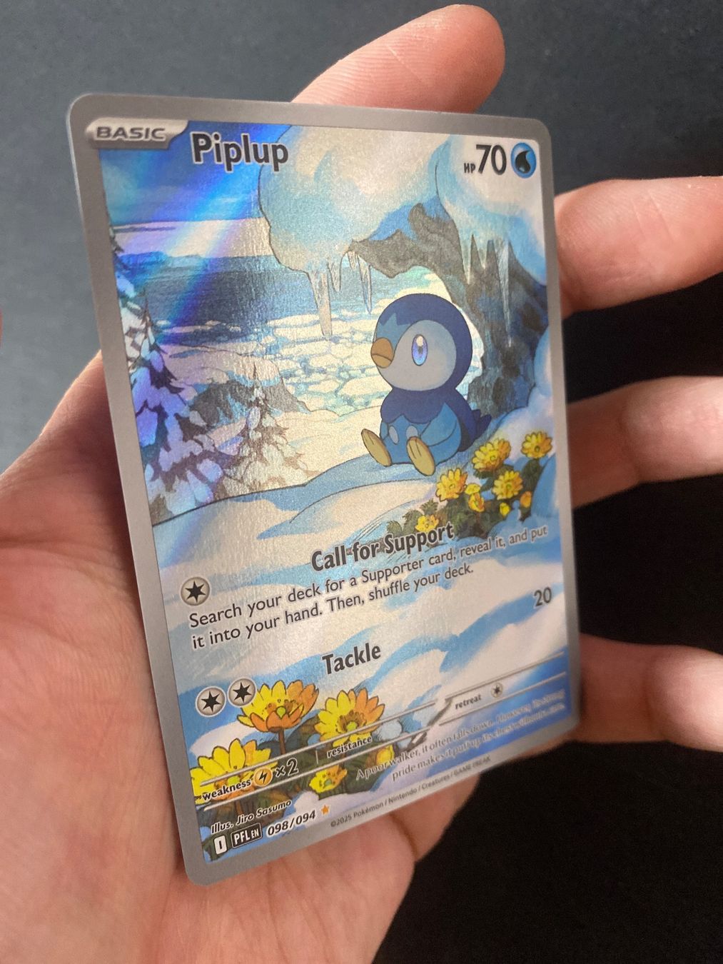 Pokémon Carte collezionabili: Piplup 98 - Plinfa - IR - Phantasmal Flames - EN – Nuovo (secondo la descrizione) da Hausen AG venduto da Shrade 1