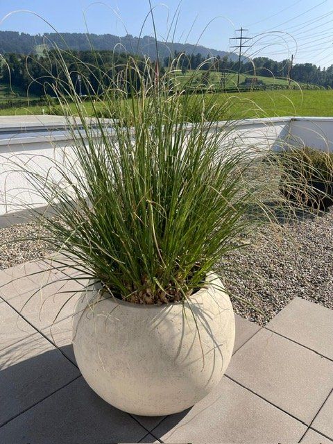 Vasi per fiori: Globe Pflanzentopf mit Pampagras, für Garten oder Terrasse – Usato da Au SG venduto da t.zimmi