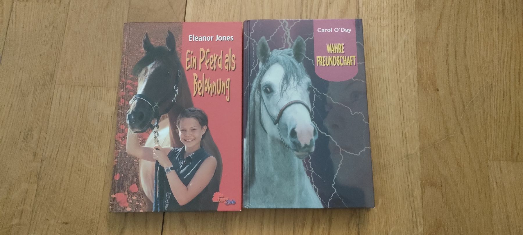 Libri: 2 Pferde-Bücher für Mädchen – Usato da Mönchaltorf venduto da Icelandichorse