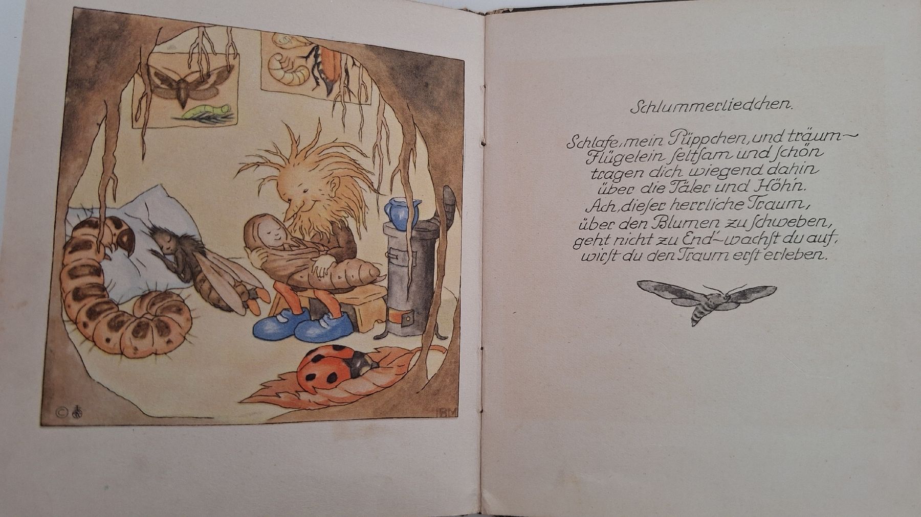 Livres: Bei den Wurzelmännlein – D'occasion à Muttenz par Biniruf 3