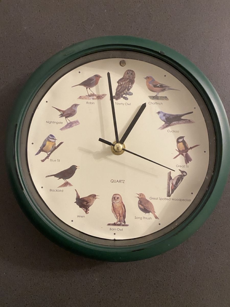 Orologi: Grüne Wanduhr mit Vogelmotiven – Usato da Leibstadt venduto da Shopcity