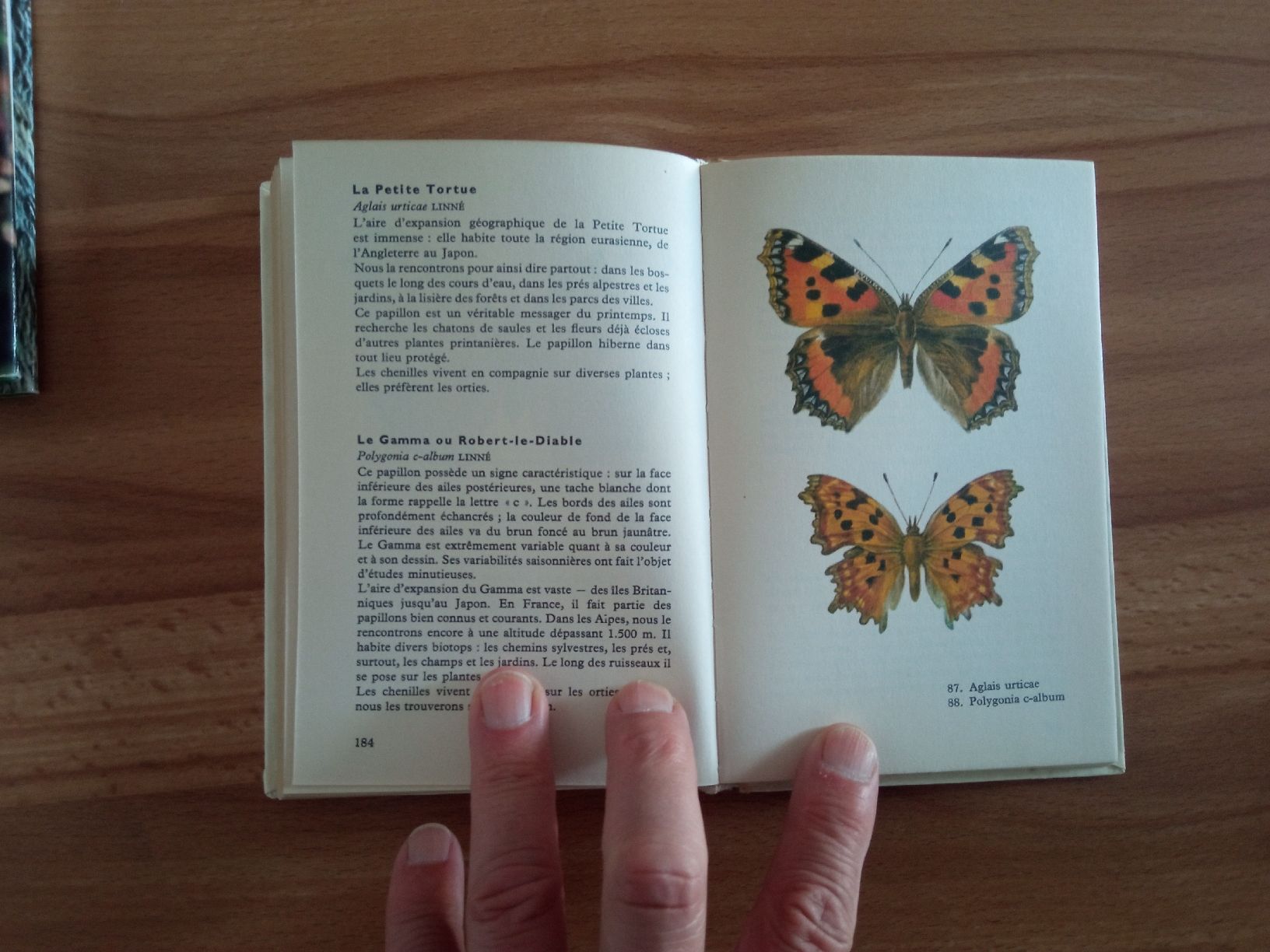 Bücher: lot 3 Livres Papillons  – Gebraucht aus Le Sentier von arc_2thy 6