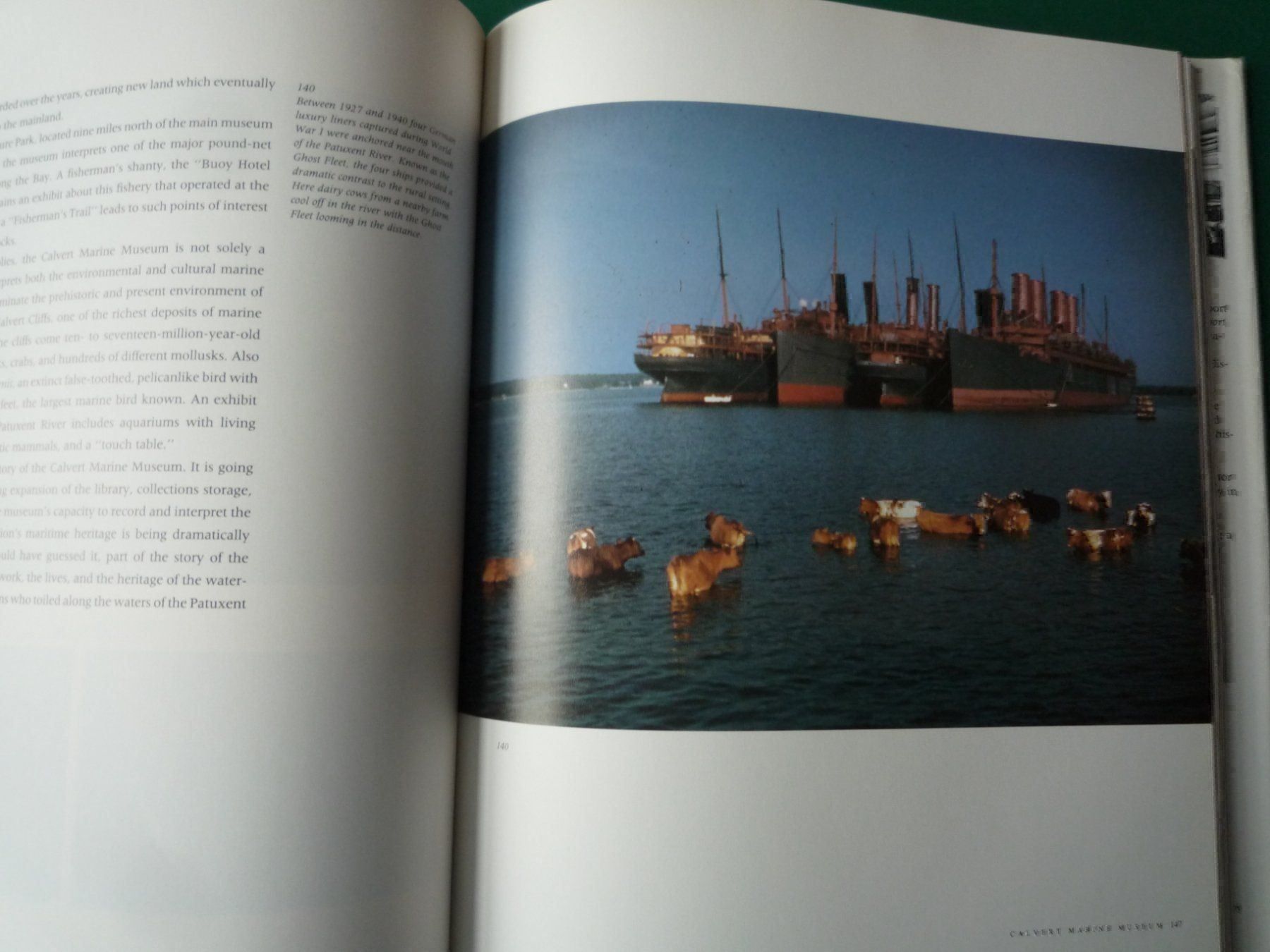 Libri: Maritime America – Usato da Rafz venduto da Sonnenblume305 3