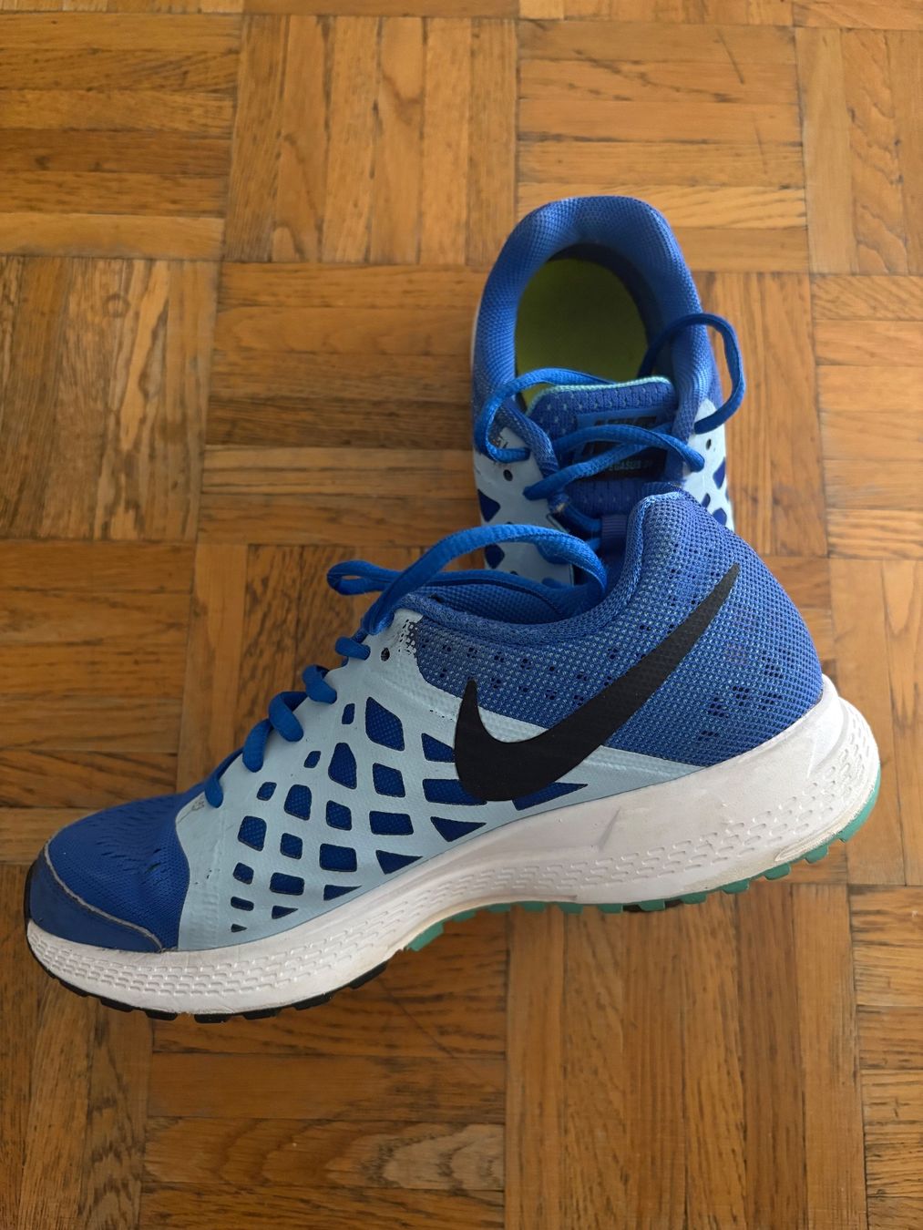 Nike Scarpe da uomo: Nike Air Zoom Pegasus, Chaussures de course – Usato da Genève venduto da Evelina71 1