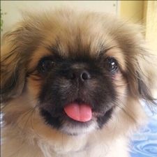 Profile image of aladin88