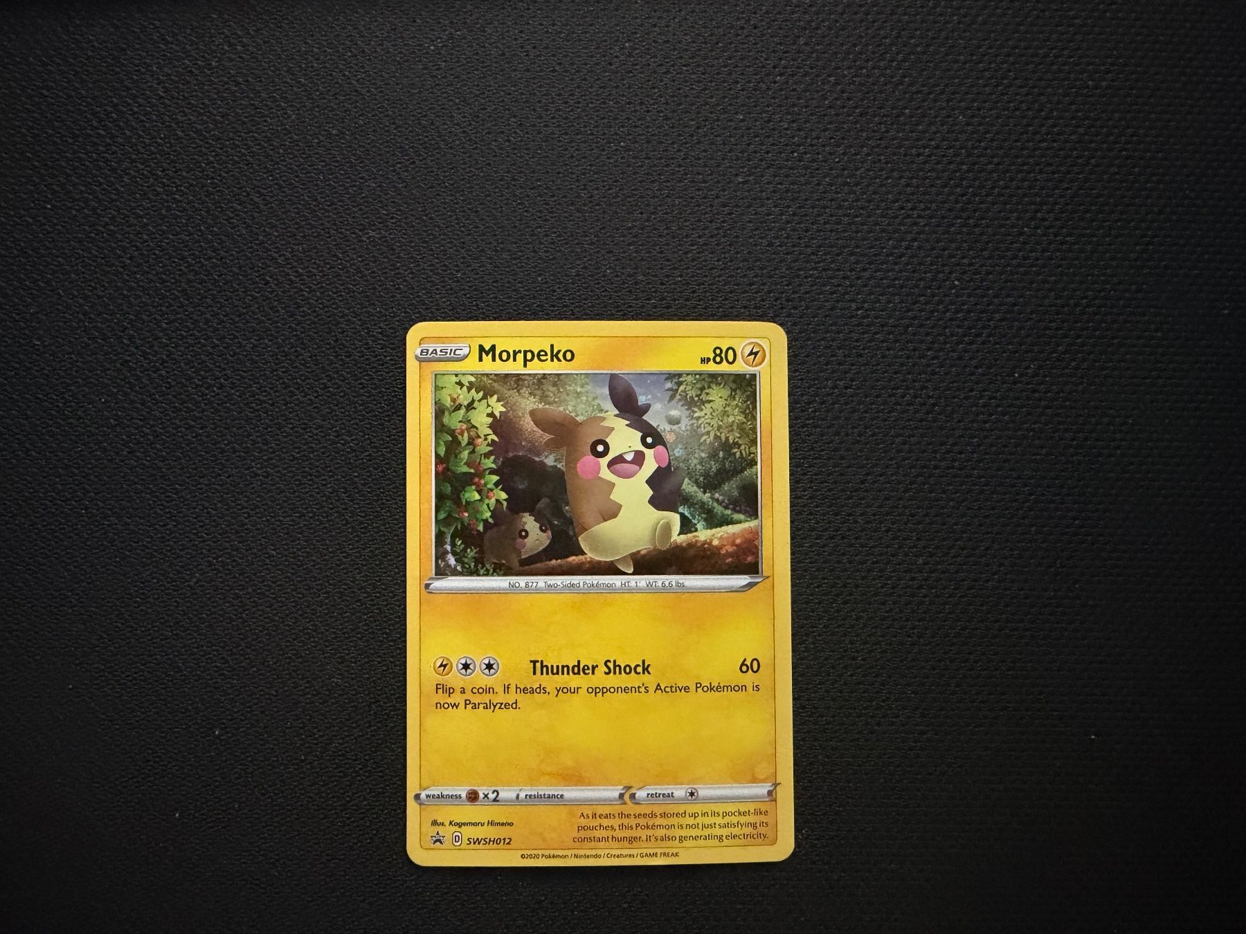 Pokémon Carte collezionabili: Morpeko SWSH012 / Holo – Usato da Zürich venduto da mountainwizard00