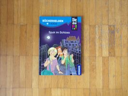 Bücherhalden Spuk im Schloss