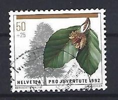 1992 - PJ - Waldbäume - Rotbuche