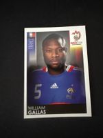 Panini UEFA EM 2008 Sticker - Nr. 340