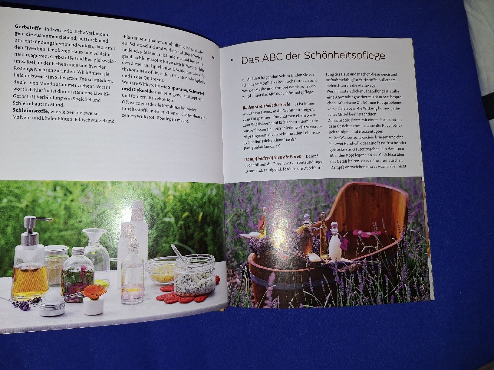 Libri: Naturkosmetik aus dem eigenen Garten Buch – Usato da Menznau venduto da Albatros93 1