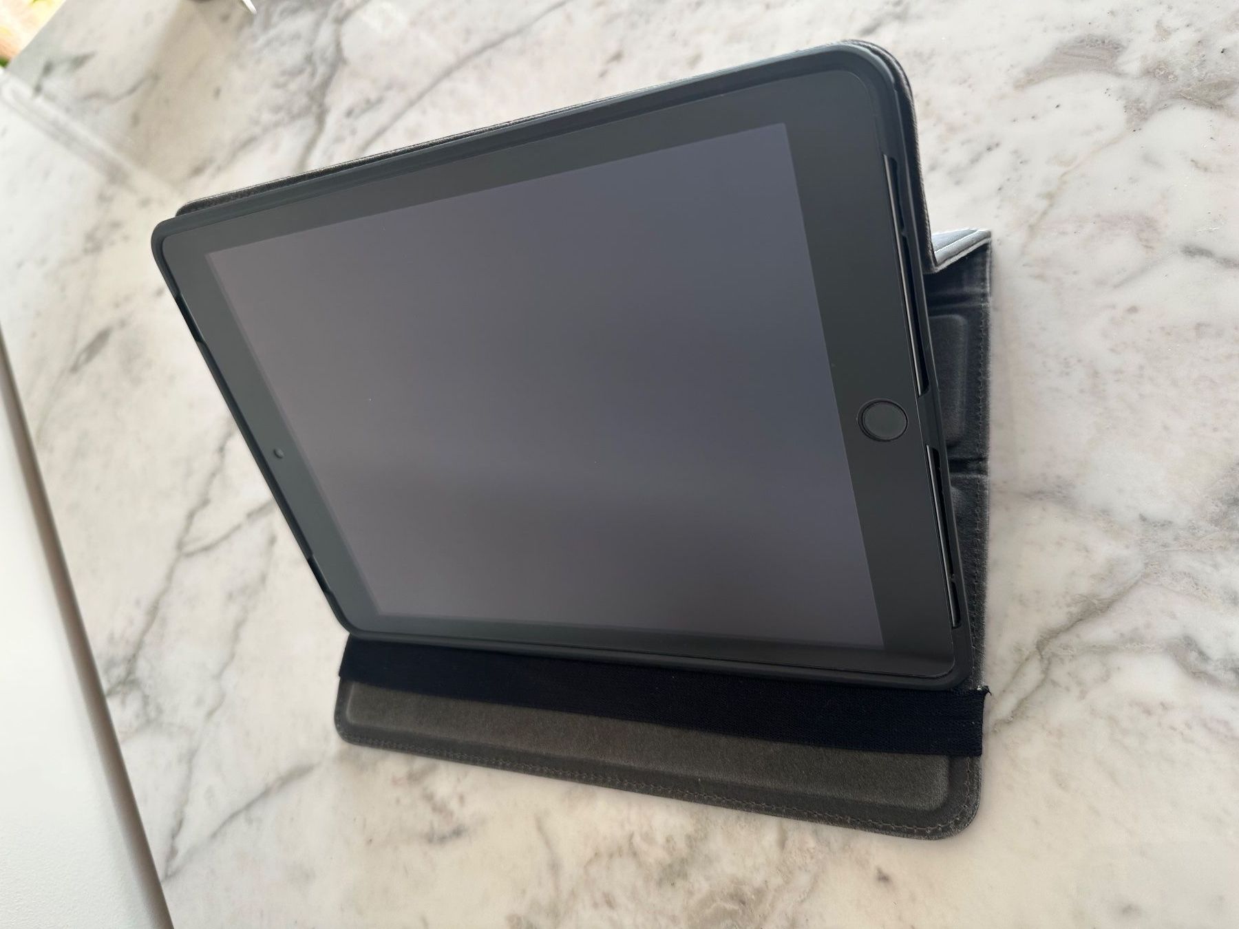 Apple Tablettes PC: Apple iPad 5. Generation 128GB WLAN mit Hülle – D'occasion à Hagendorn par Gember 1