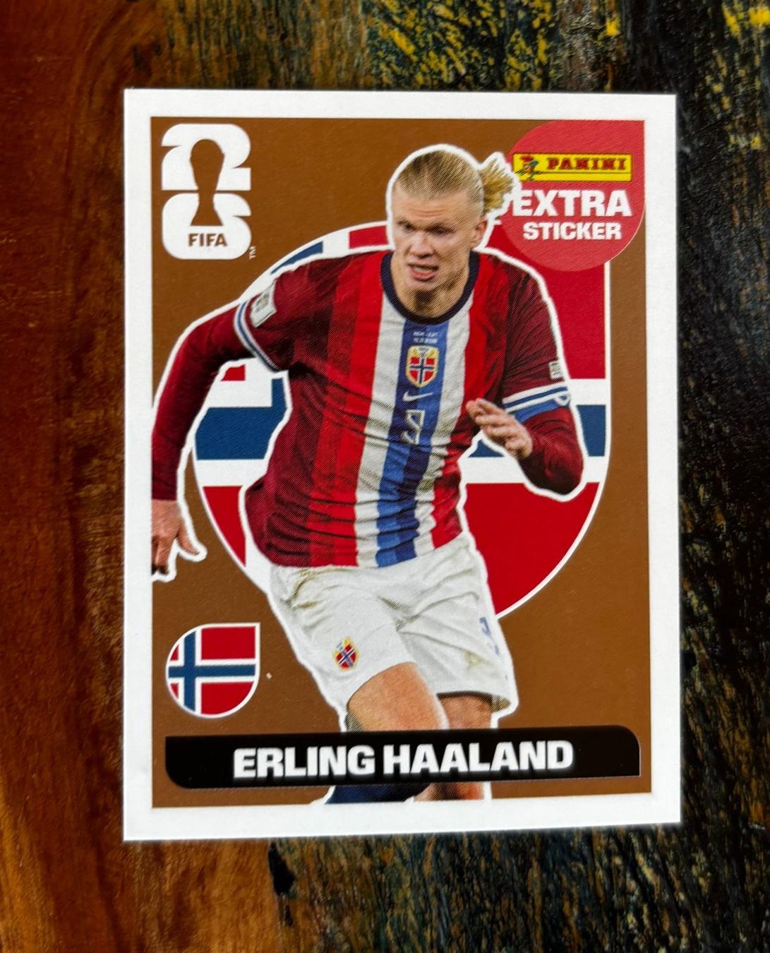 Panini Carte collezionabili: Panini FIFA Sticker Erling Haaland, – Nuovo (secondo la descrizione) da Dietikon venduto da grafad