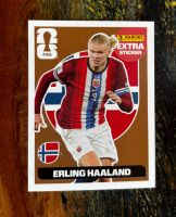 Panini FIFA Sticker Erling Haaland,