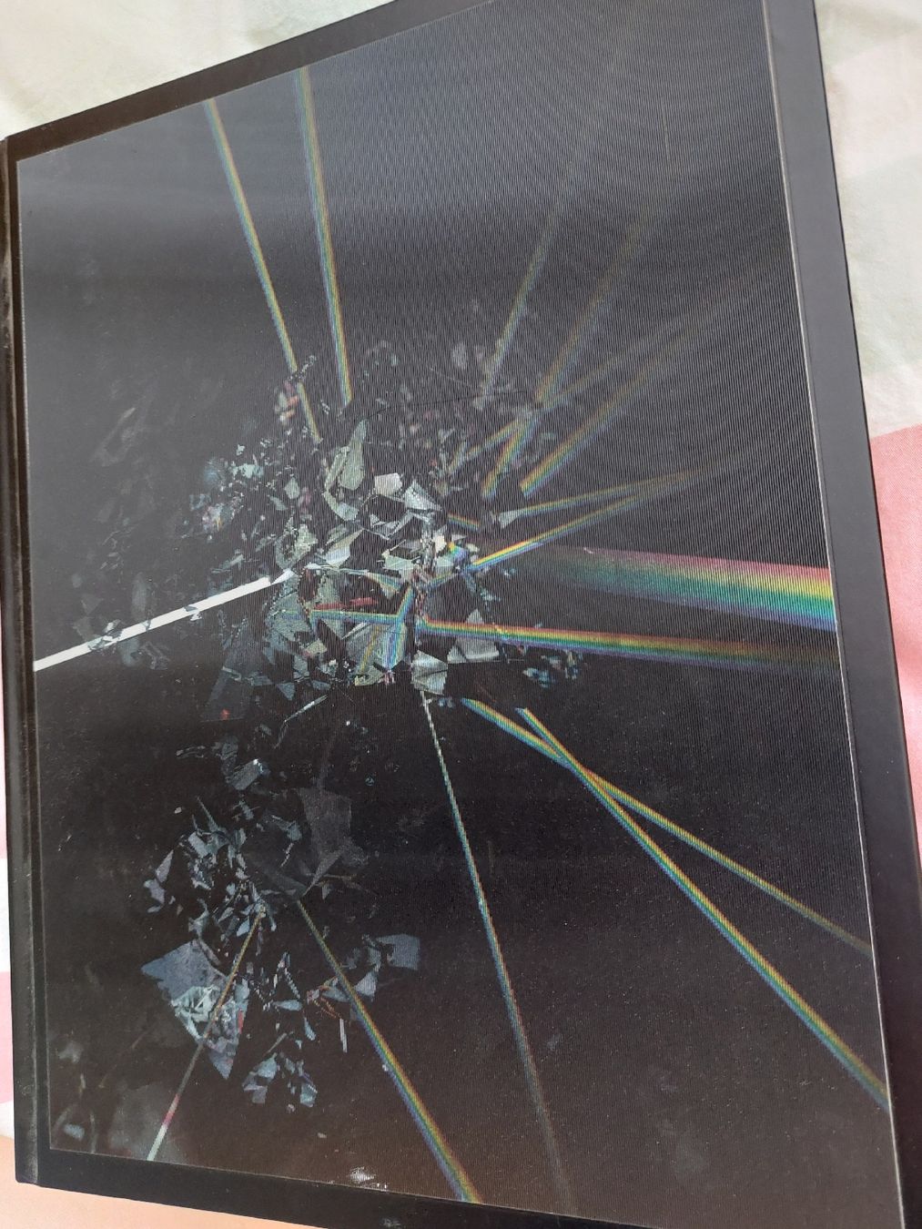 Libri: Pink Floyd - Their Mortal Remains Book – Usato da Mumpf venduto da Pat17 1