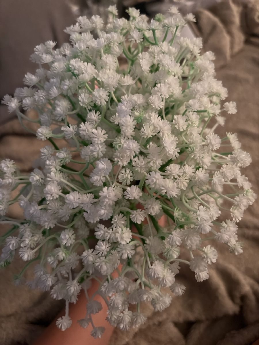 Tutte le decorazioni: 20x künstliches Schleicherkraut – Usato da Urtenen-Schönbühl venduto da LaPriinciipessa