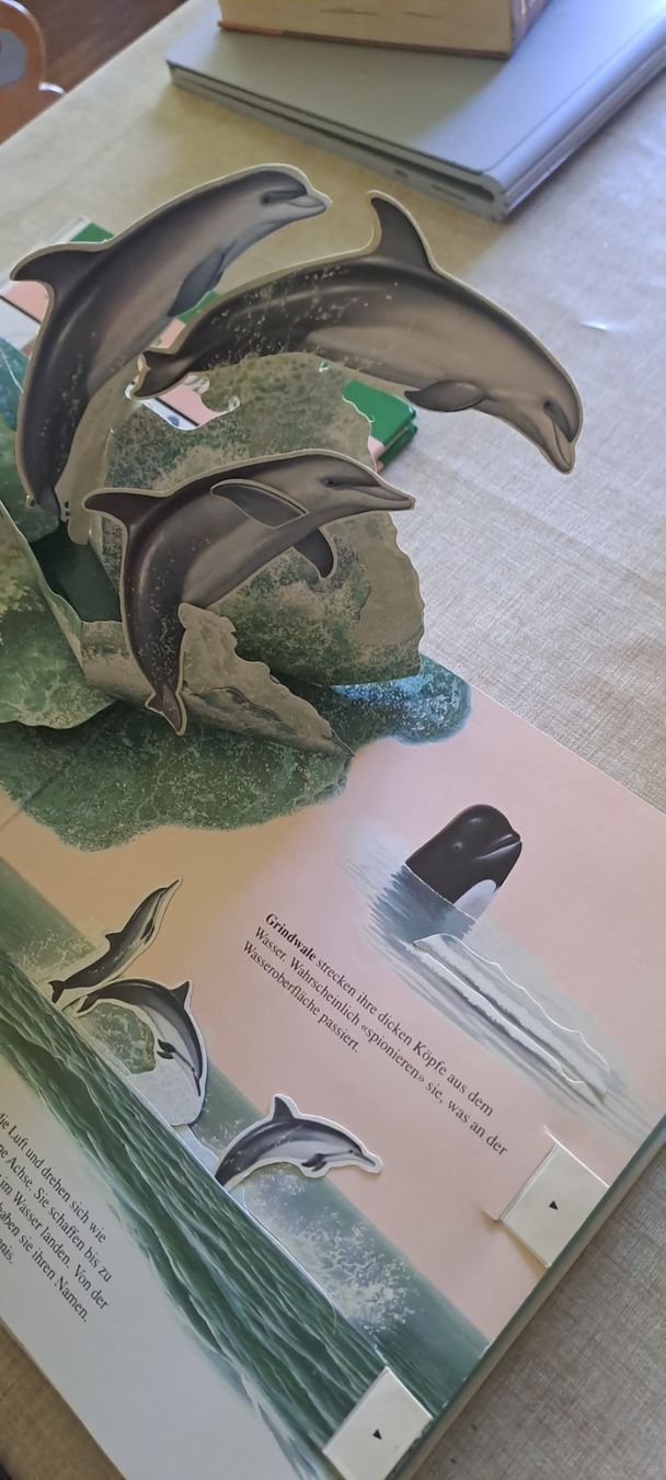 Libri: Wale und dinosaurier buch – Usato da Bitsch venduto da jajo79076 5