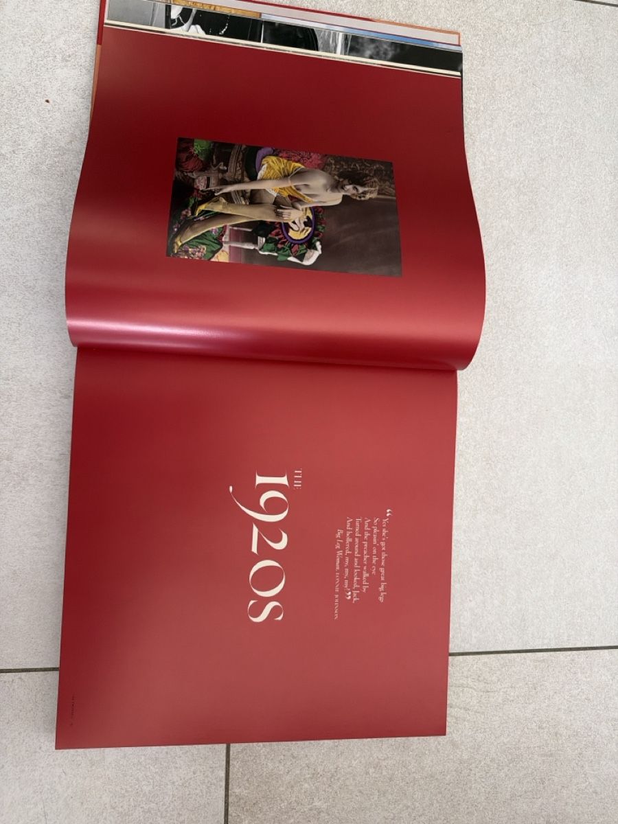 Bücher: Book " Pin-Ups" excellent condition – Gebraucht aus Martigny von Jacoosh1234 4