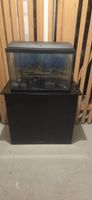 2x Juwel Aquariums 60L + 70L with Cabinets, Filters, Heaters